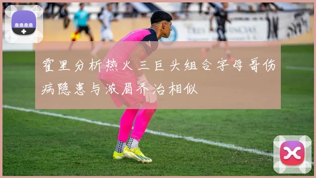 霍里分析热火三巨头组合字母哥伤病隐患与浓眉乔治相似